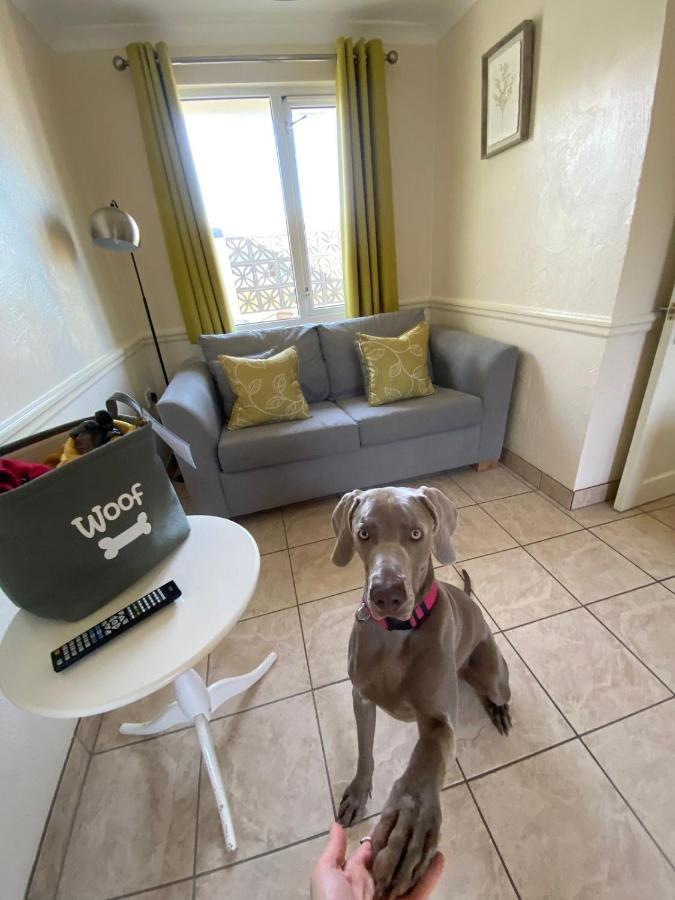 Croyde Bay Hotel Or Self Catering Bagian luar foto