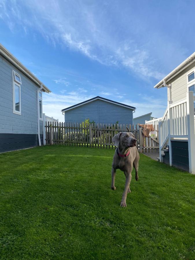 Croyde Bay Hotel Or Self Catering Bagian luar foto